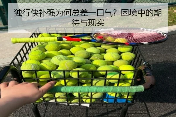 独行侠补强为何总差一口气？困境中的期待与现实